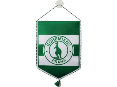 Vlaječka malá s přísavkou (10 cm)