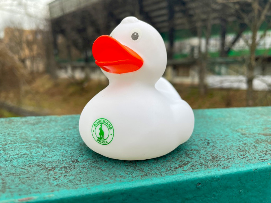 Kachnička Bohemians