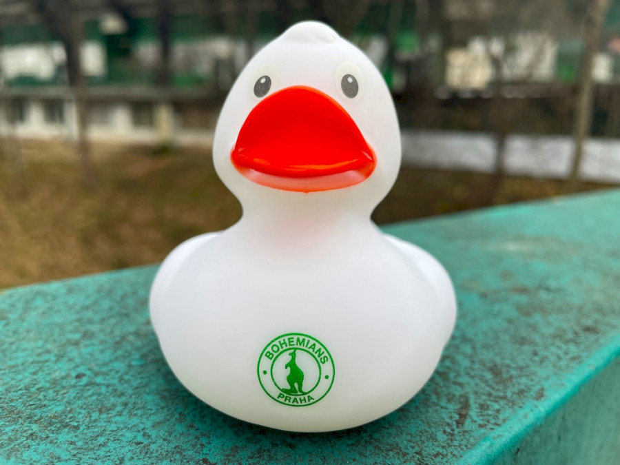 Kachnička Bohemians